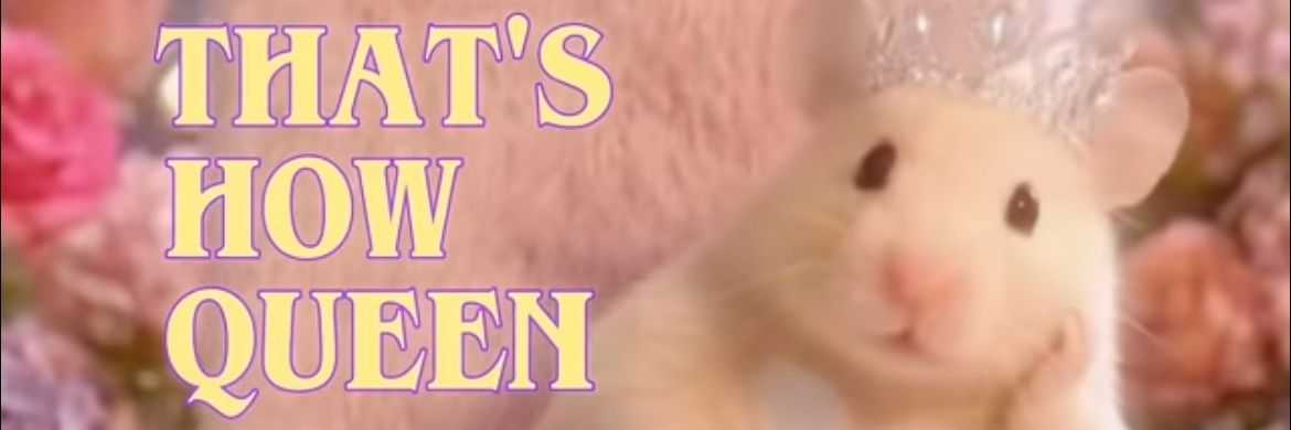 이몽🕯 banner