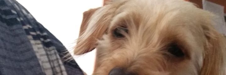 3gabriel_ch's profile banner image