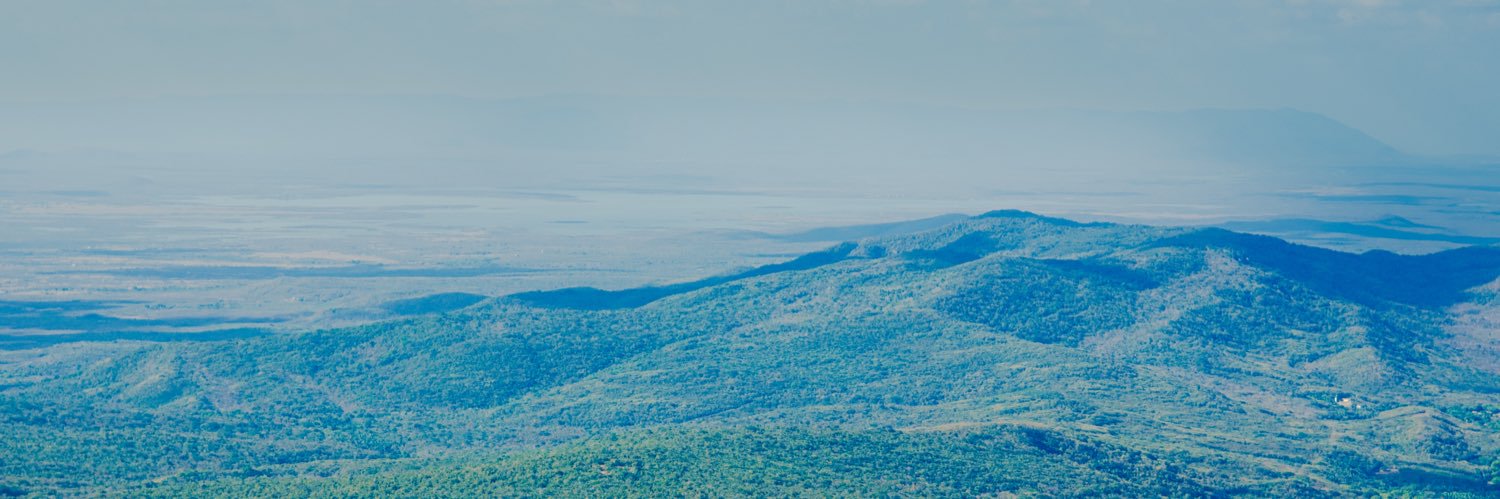 ogustacordeiro's profile banner image