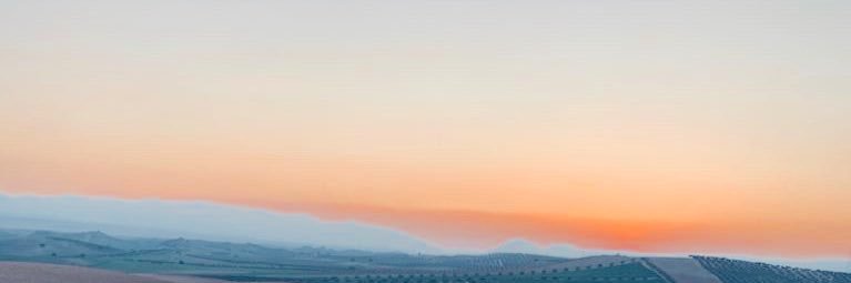 reegii28's profile banner image