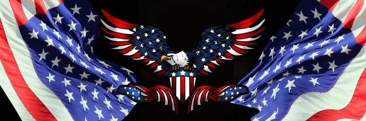 Diane 🇺🇸 America First's banner