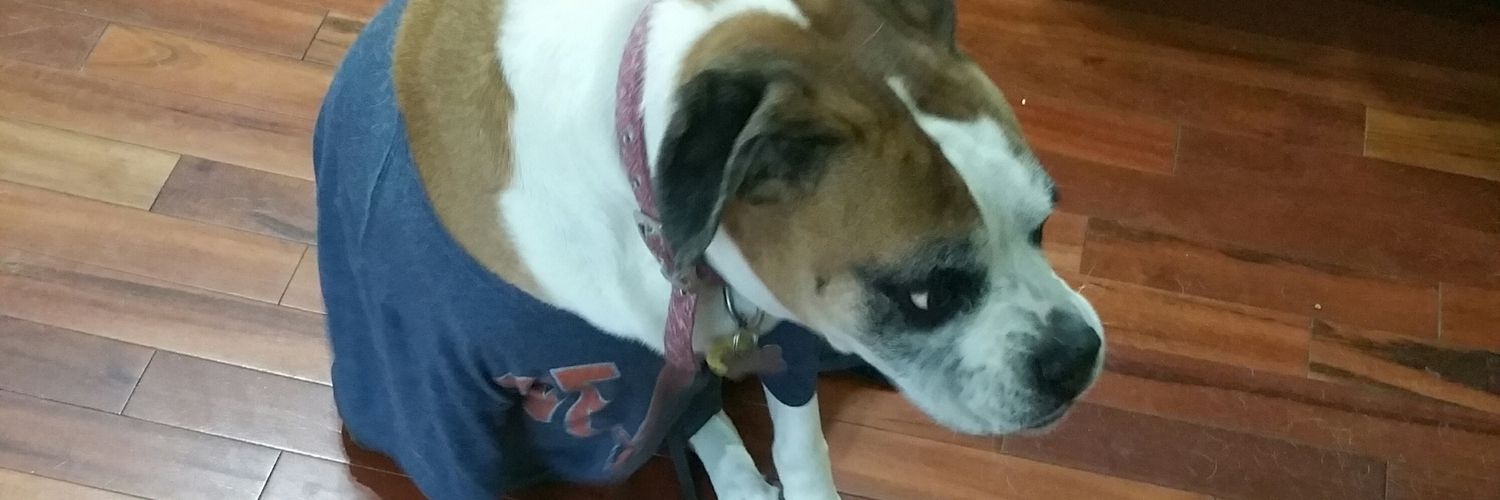 JuliaLoper2's profile banner image