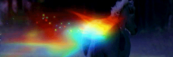 anqqi_ Profile Banner