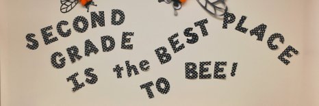VisitationLSGrade2 banner