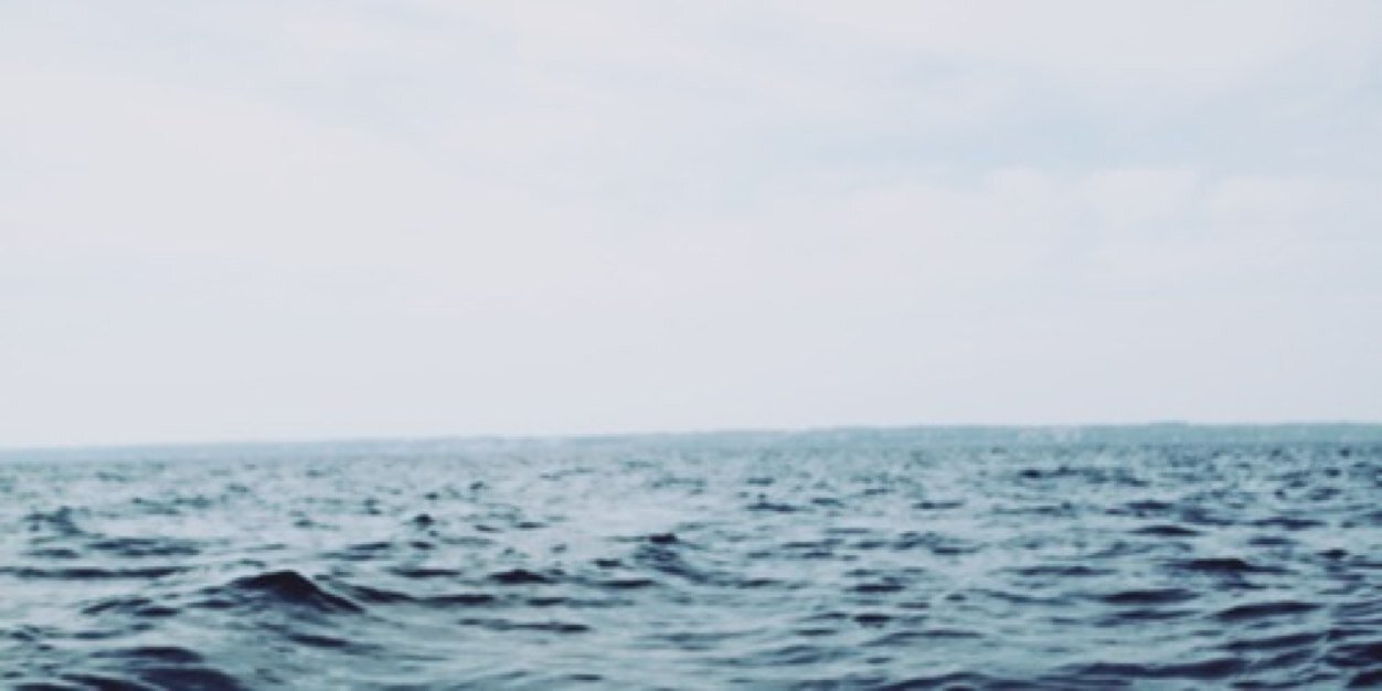 WabiFish's profile banner image