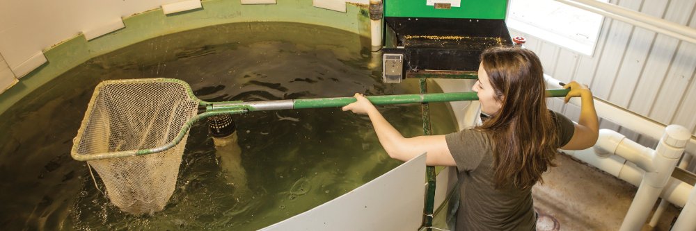 Applied Research - Lethbridge College banner