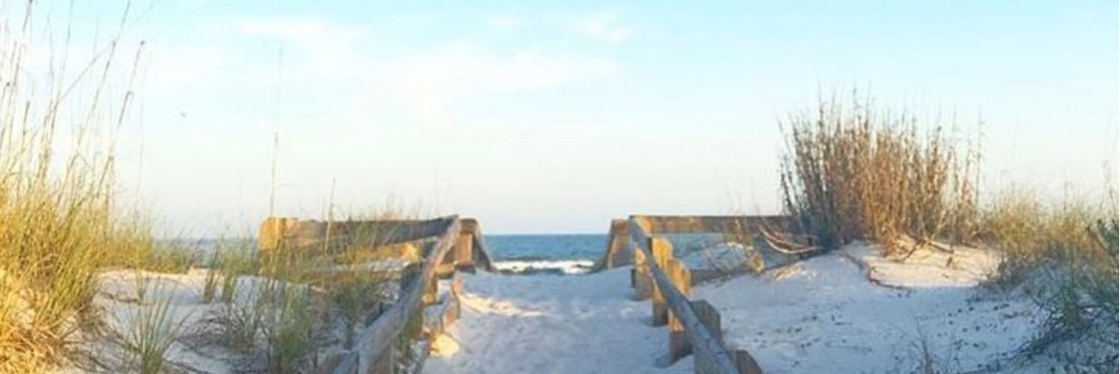 Michelle banner