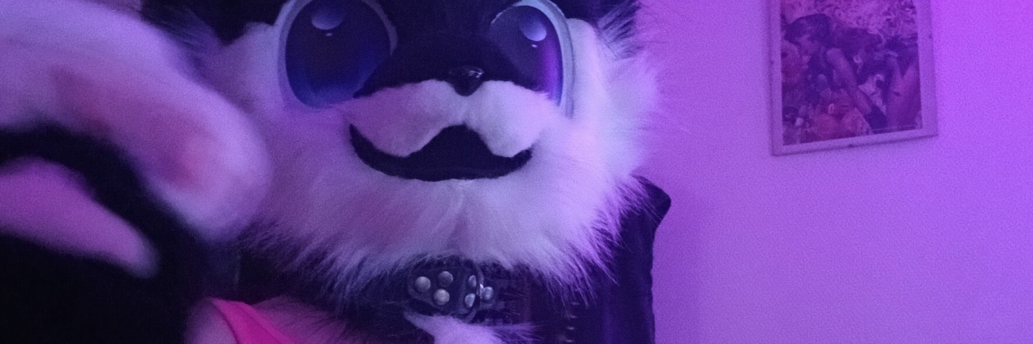 Cat_nium's profile banner image