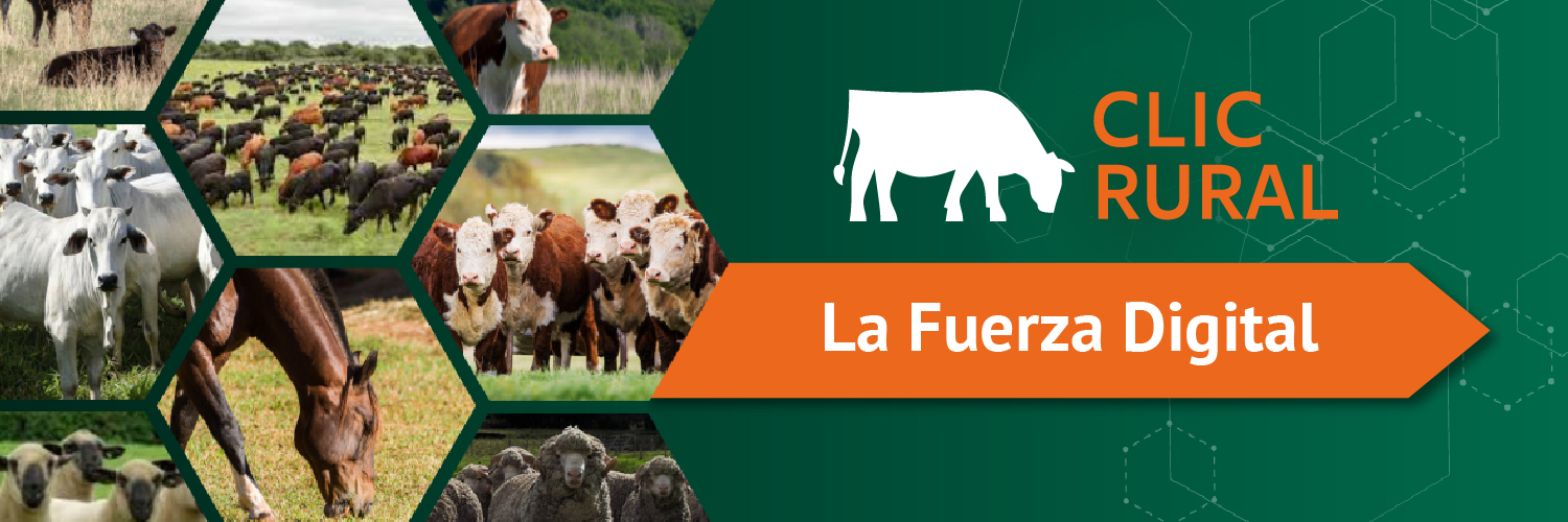ClicRural AR banner