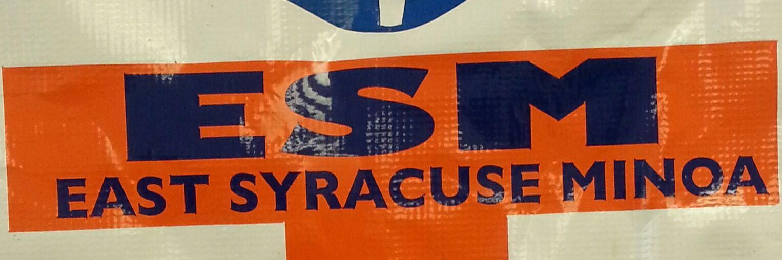 ESMUnited banner