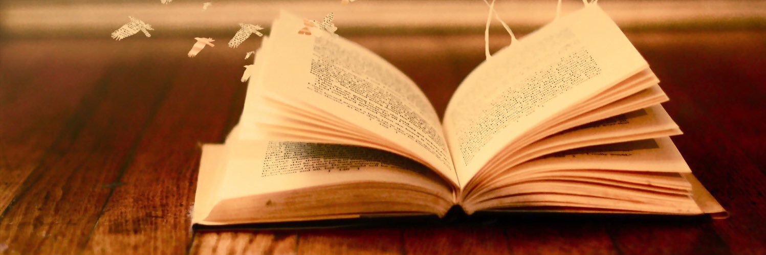 LindstheReader's profile banner image