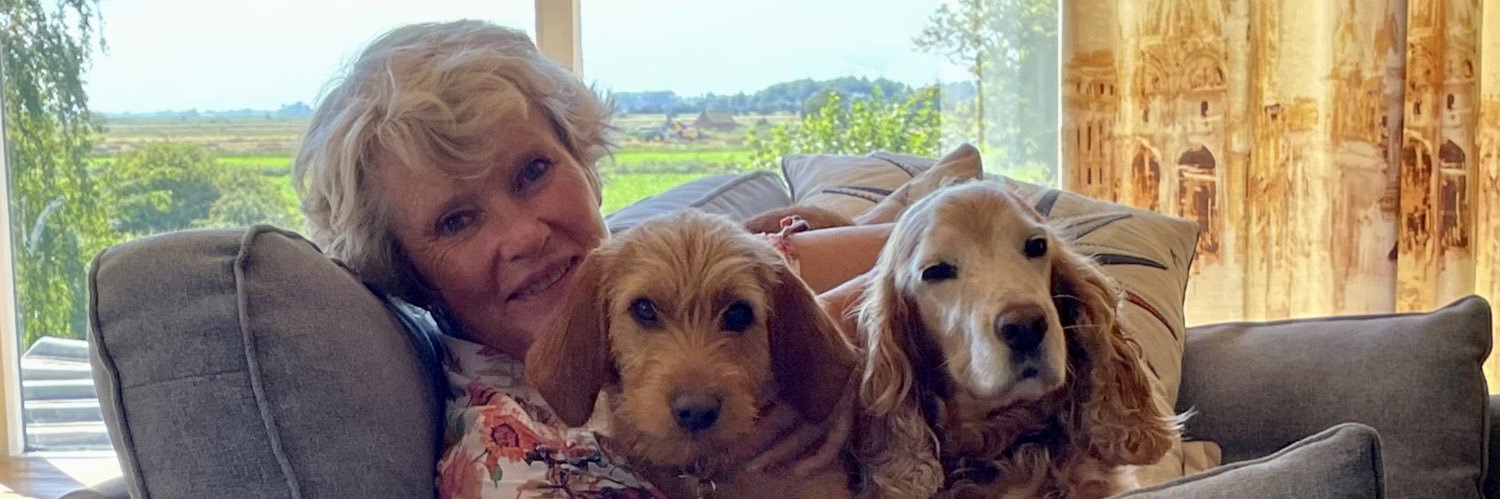 Judith Shallow banner