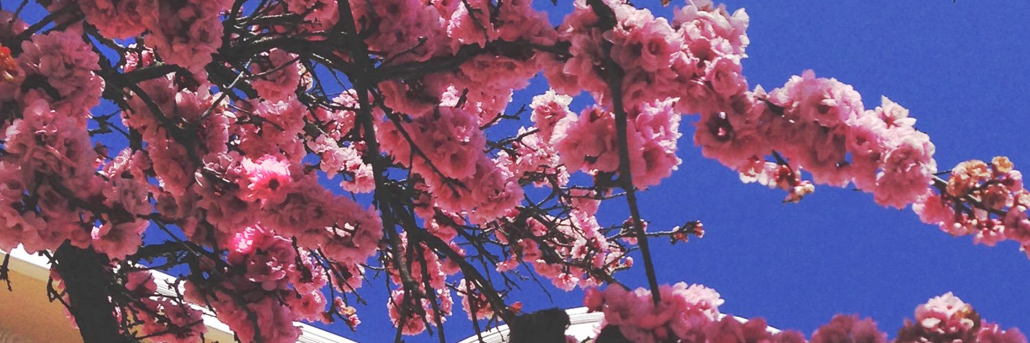 neo__XIX's profile banner image