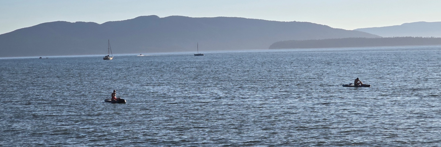 Salish Sea Orca back scratcher banner
