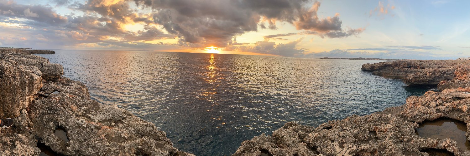 VirginiaLoAn's profile banner image