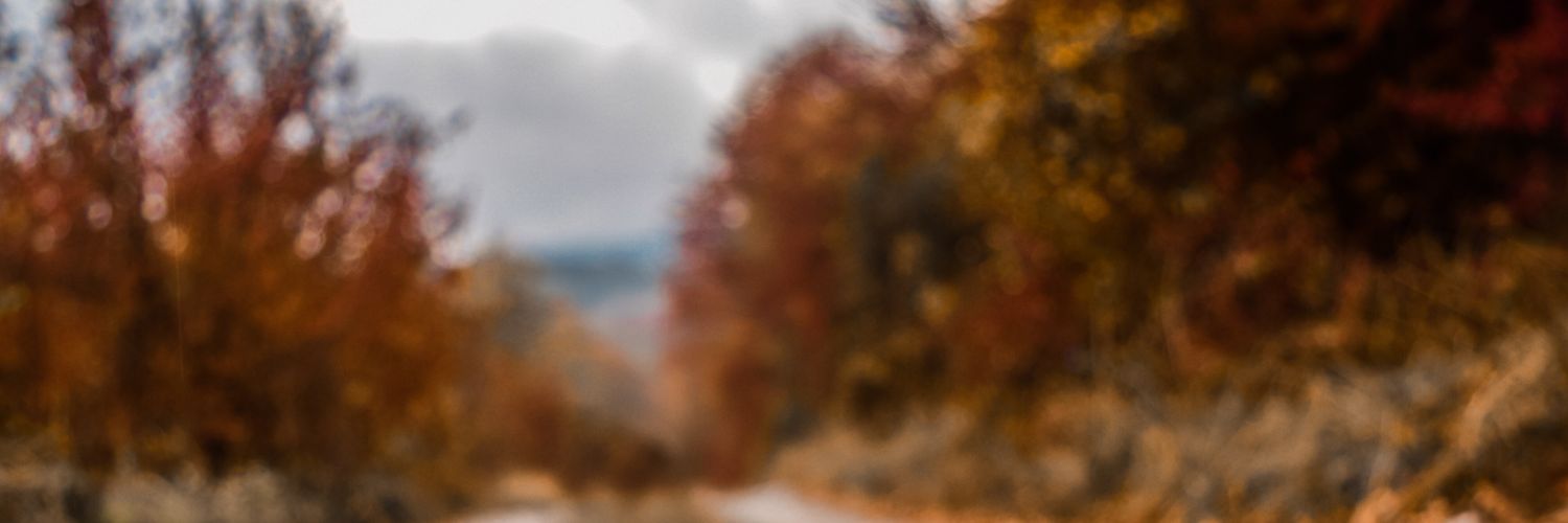 ivanPivanov's profile banner image