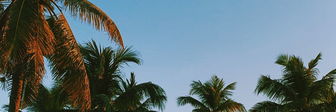 yyashau's profile banner image