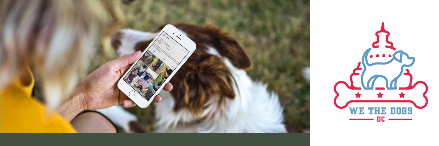 We The Dogs Inc banner