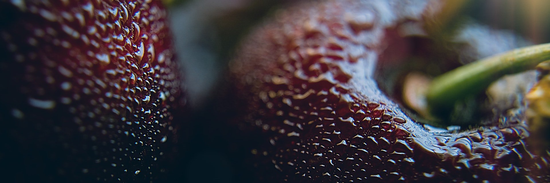 sarp_pasif's profile banner image
