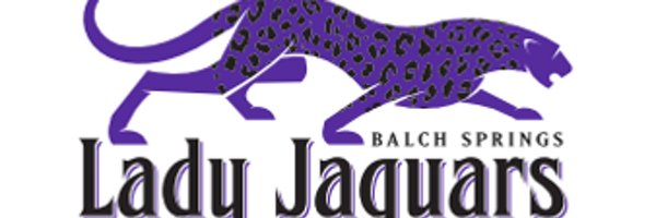 YWSALadyJags Profile Banner