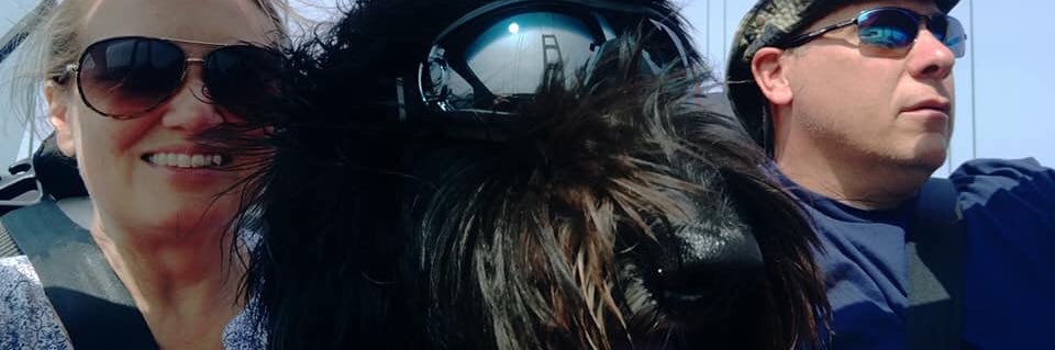 DaynaFackler's profile banner image
