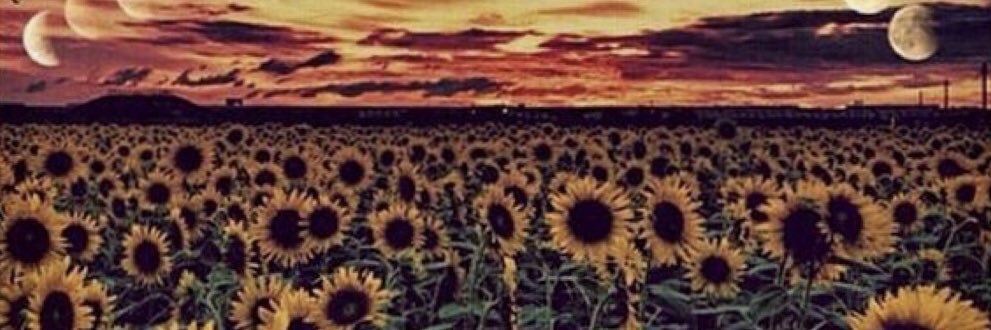 feather_an's profile banner image