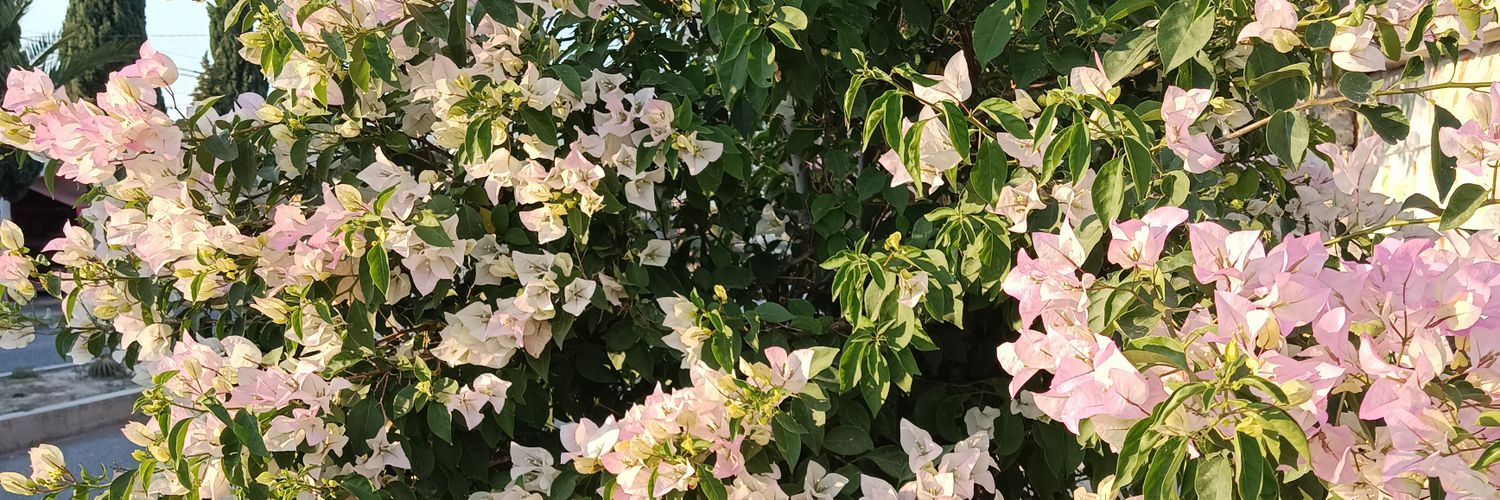 _a957's profile banner image