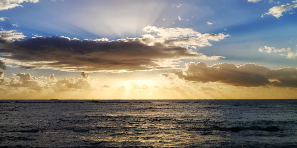 C Wernberg-Tougaard banner