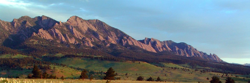 Matt Benjamin banner