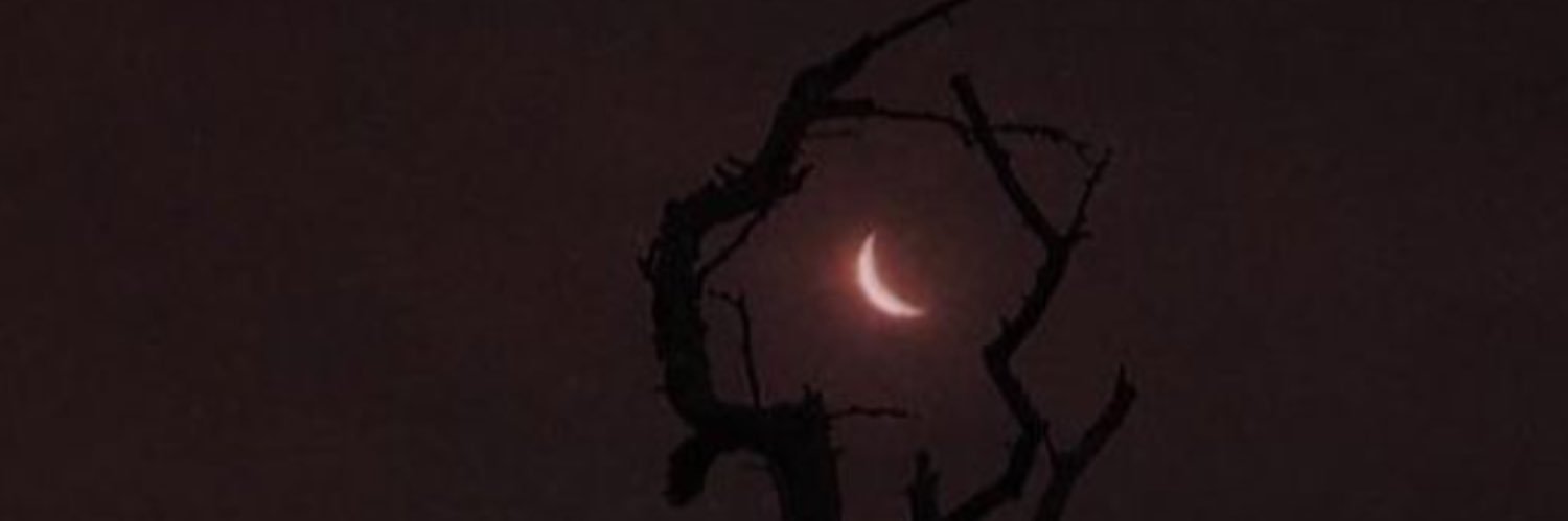 PBMEAT's profile banner image