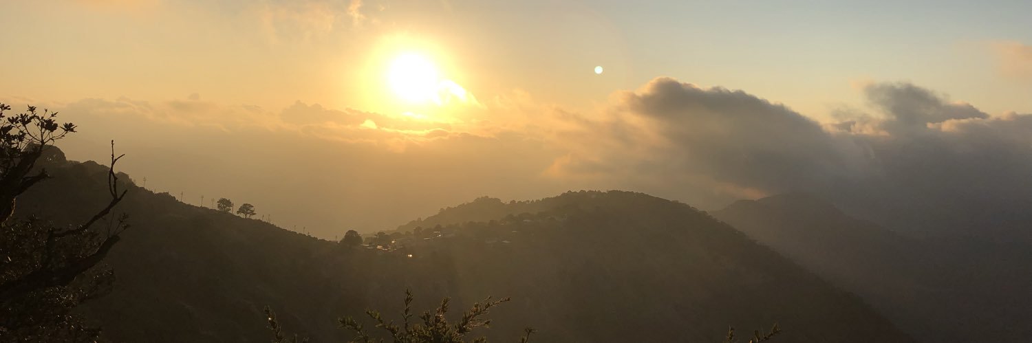 prisroal's profile banner image