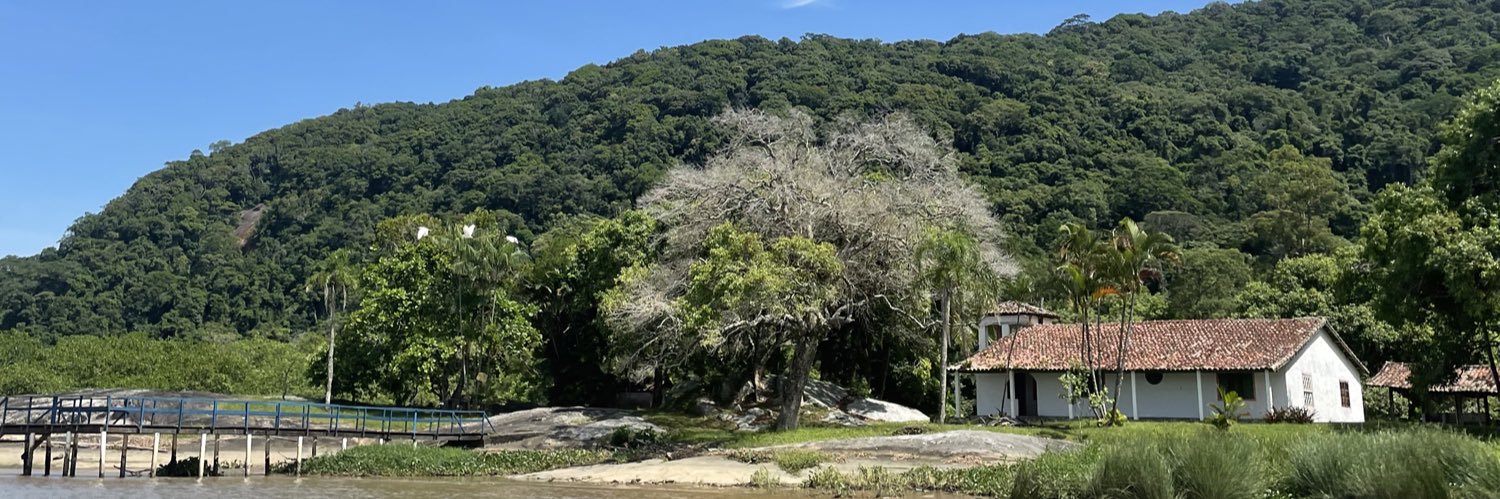 cadamasio's profile banner image