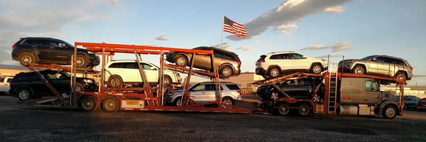 ViceroyAuto Profile Banner