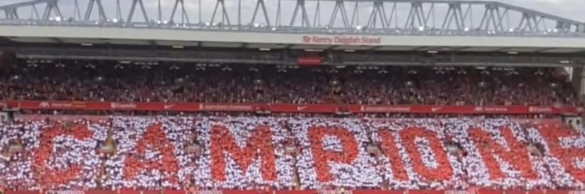 Michael Delaney banner