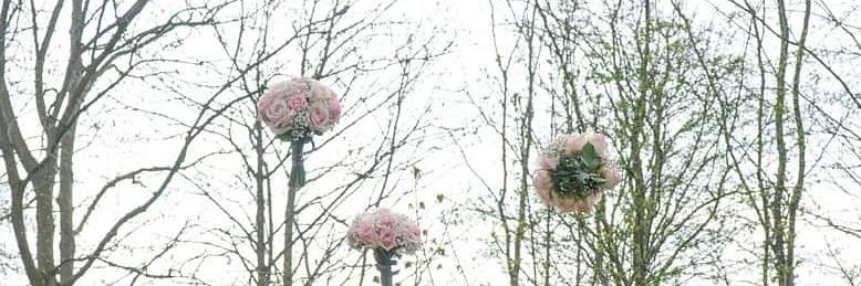 MissDanni485's profile banner image