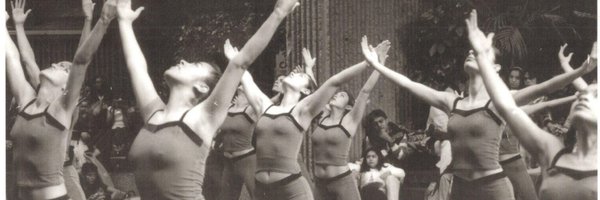 danzoter Profile Banner