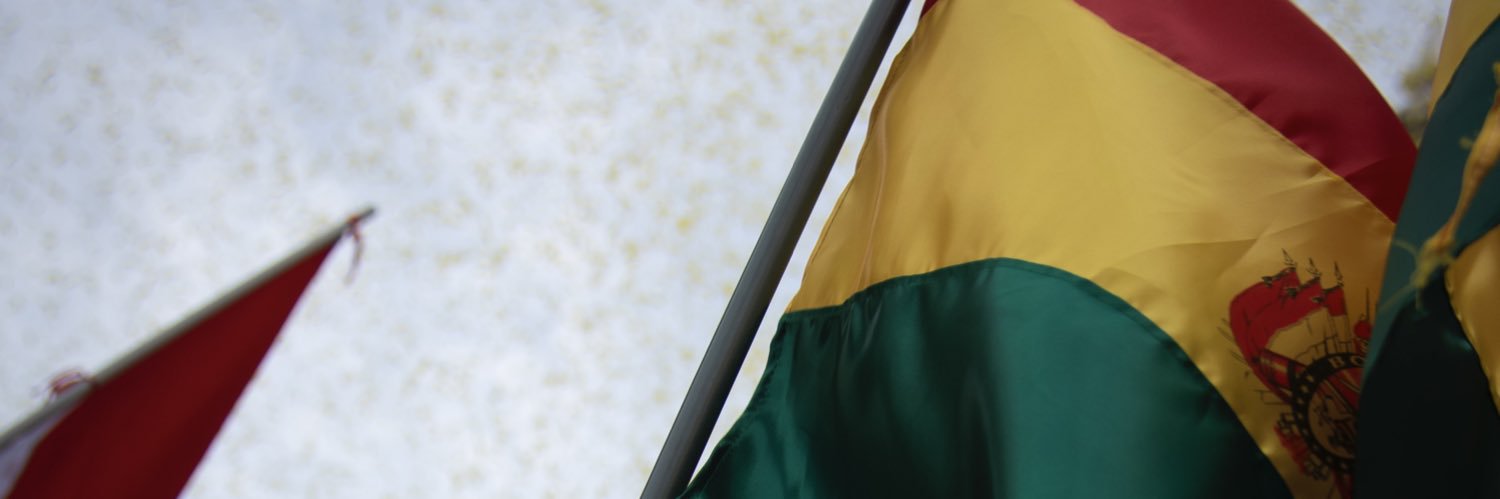 Rodrigo Paz Pereira banner