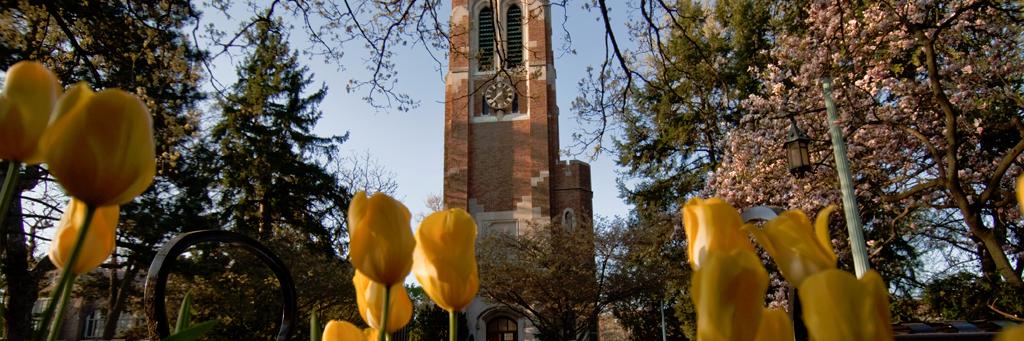 Burton Bargerstock banner