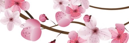 theblushingmoon's profile banner image