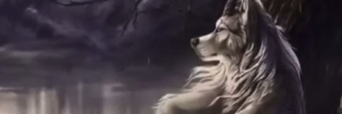 esuciftci's profile banner image