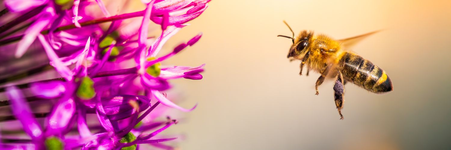 SciStarter's profile banner image