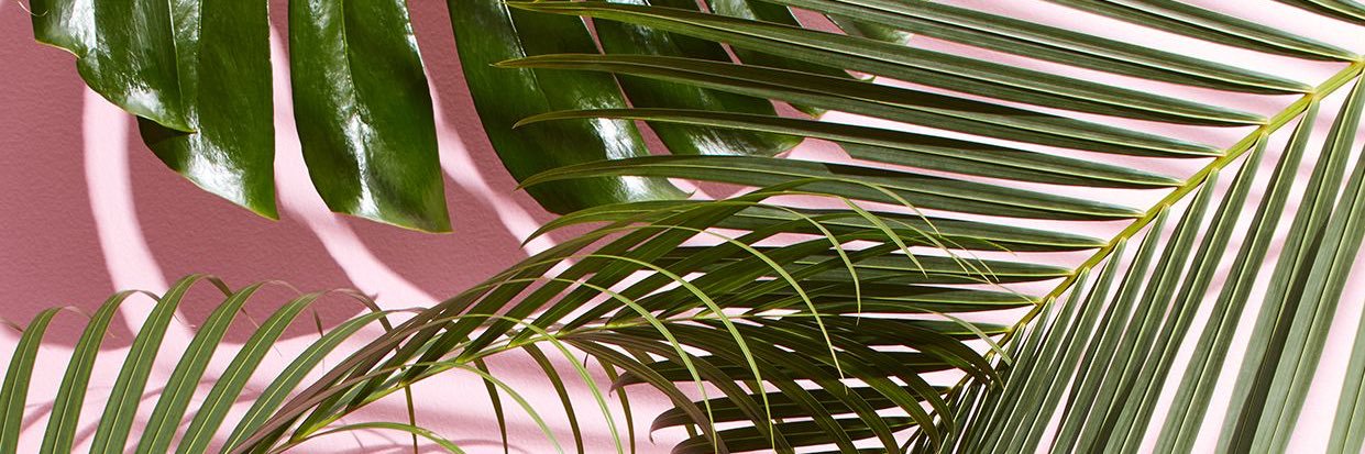 ciannarae_'s profile banner image