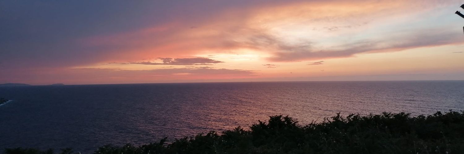 rivas_ines's profile banner image