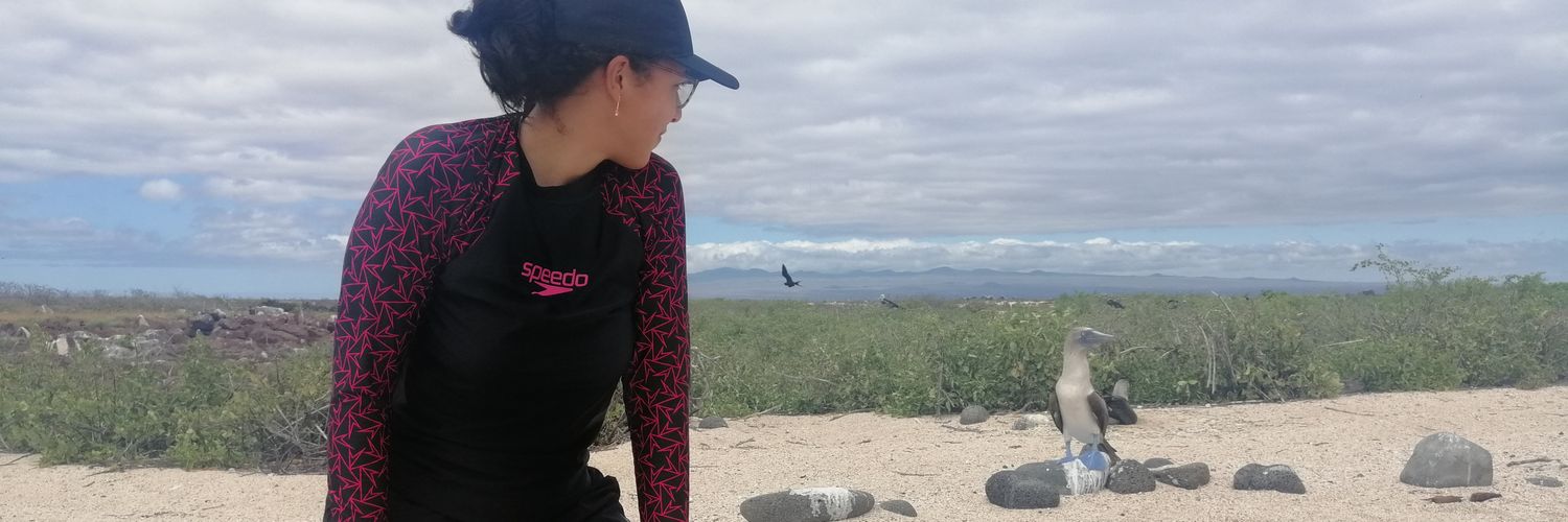 SnchezMelo's profile banner image