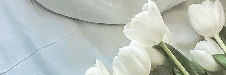 baitprosa's profile banner image