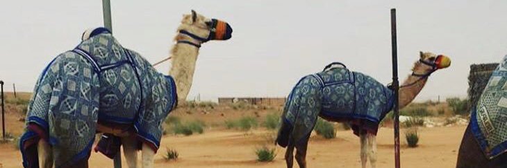 bin_hader's profile banner image