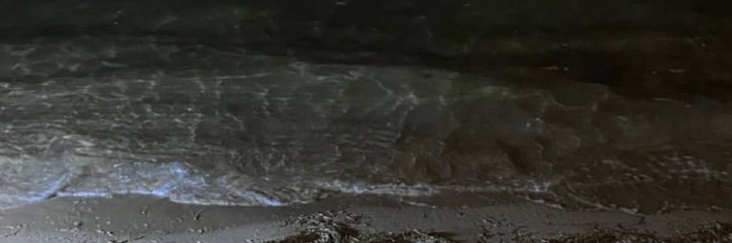xvv_i's profile banner image