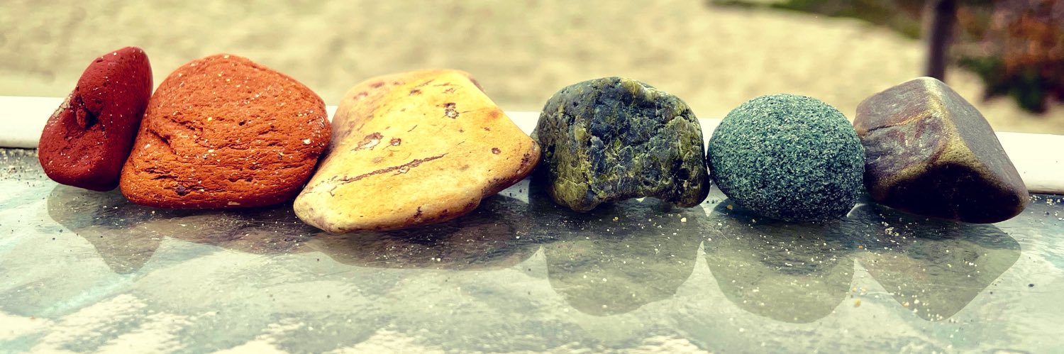 Roxanne Finks banner