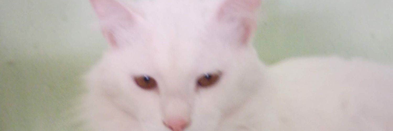 nandamb32's profile banner image