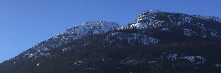 Jillian Oliver banner